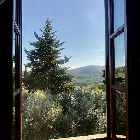 Room In Bb - Agriturismo Sottotono, Nature And Relax Carmignano Eksteriør billede